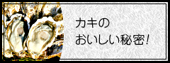 カキのおいしい秘密！